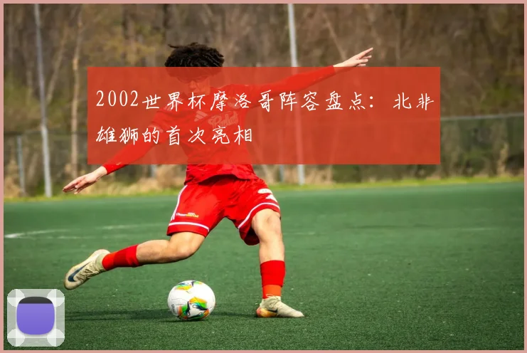 2002世界杯摩洛哥阵容盘点：北非雄狮的首次亮相