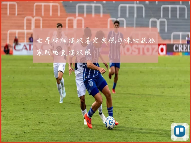 世界杯转播权落定央视与咪咕获独家网络直播权限