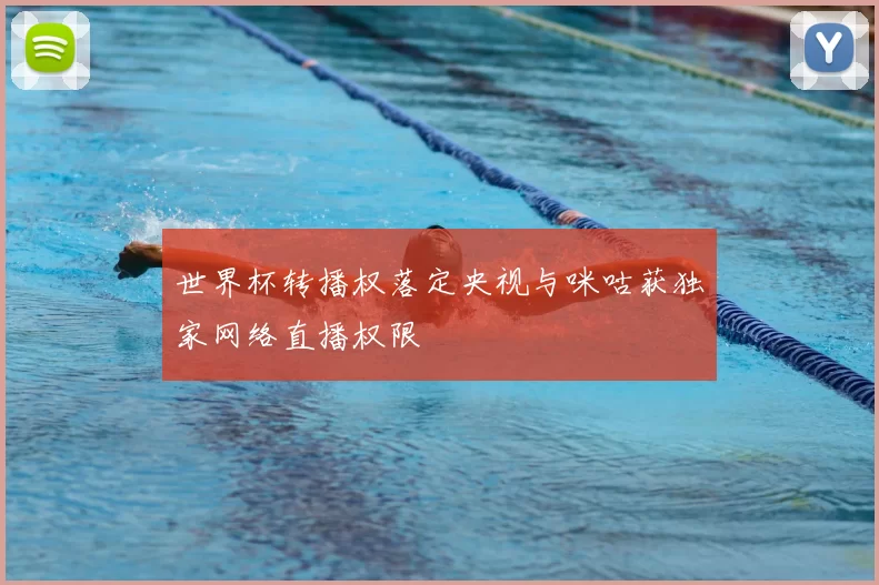 世界杯转播权落定央视与咪咕获独家网络直播权限
