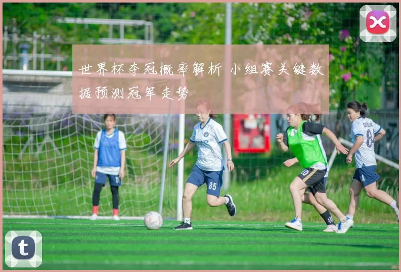 世界杯夺冠概率解析 小组赛关键数据预测冠军走势