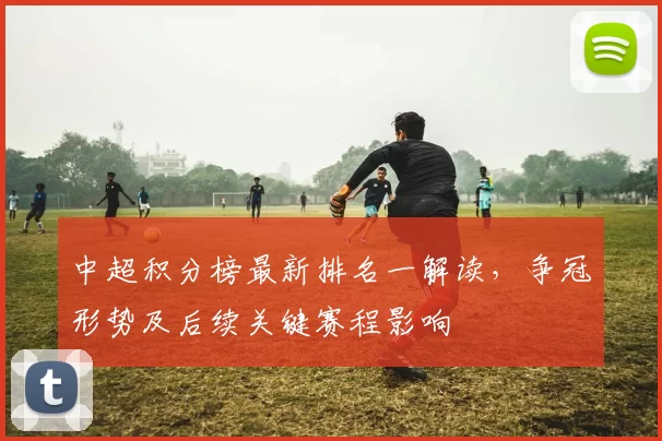 中超积分榜最新排名一解读，争冠形势及后续关键赛程影响