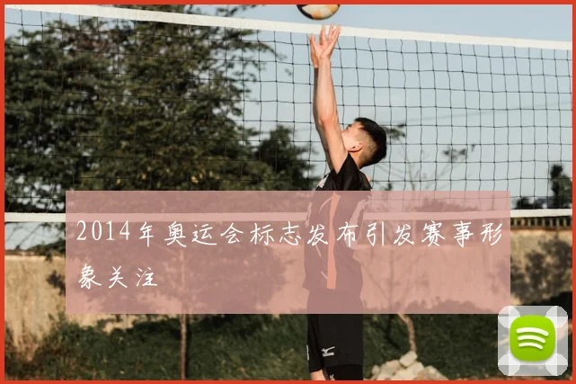 2014年奥运会标志发布引发赛事形象关注