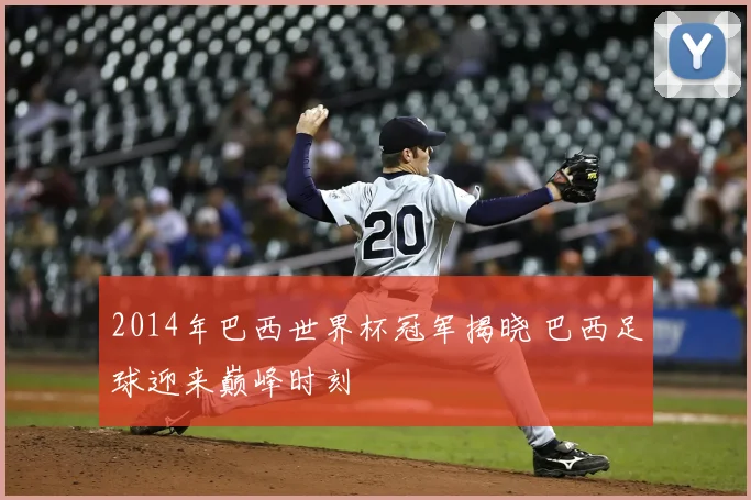 2014年巴西世界杯冠军揭晓 巴西足球迎来巅峰时刻