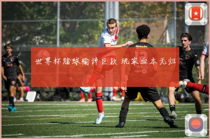 世界杯赌球输掉巨款 玩家血本无归