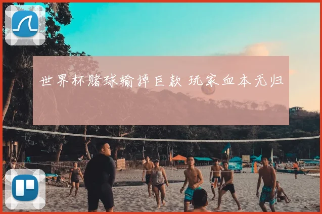 世界杯赌球输掉巨款 玩家血本无归