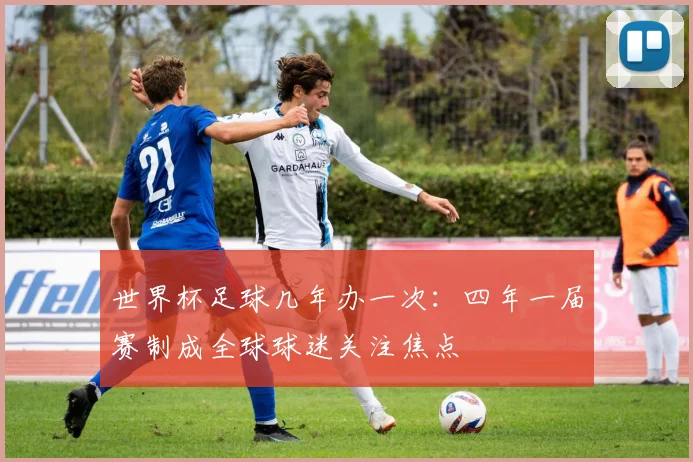 世界杯足球几年办一次：四年一届赛制成全球球迷关注焦点