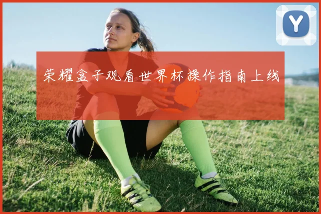 荣耀盒子观看世界杯操作指南上线