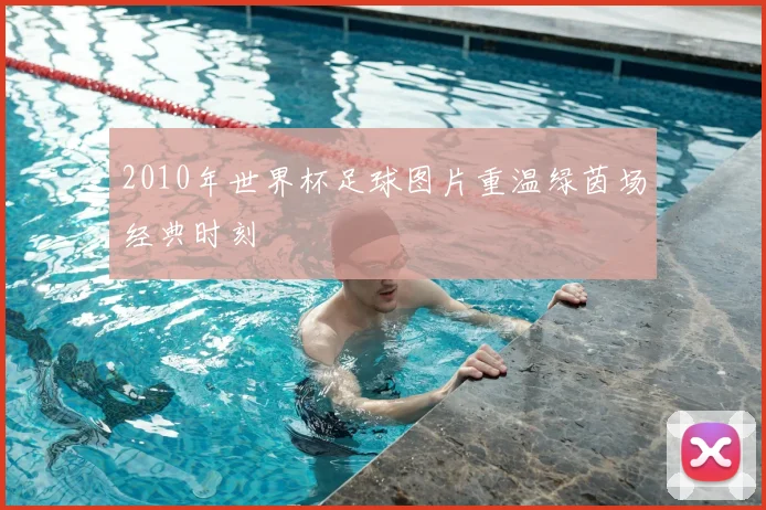 2010年世界杯足球图片重温绿茵场经典时刻