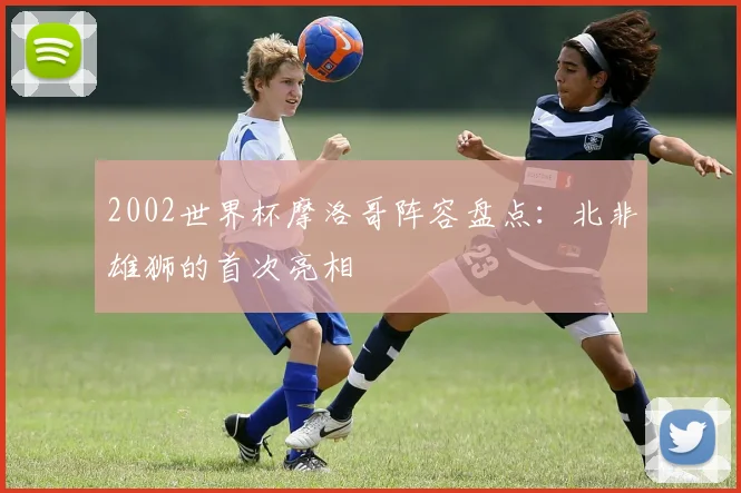 2002世界杯摩洛哥阵容盘点:北非雄狮的首次亮相